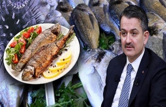 "Evde Hayat, Sofrada Balık" Kampanyası Başladı