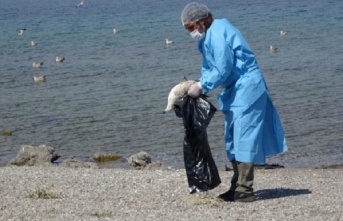 Van'da Merak Uyandıran Martı Ölümleri