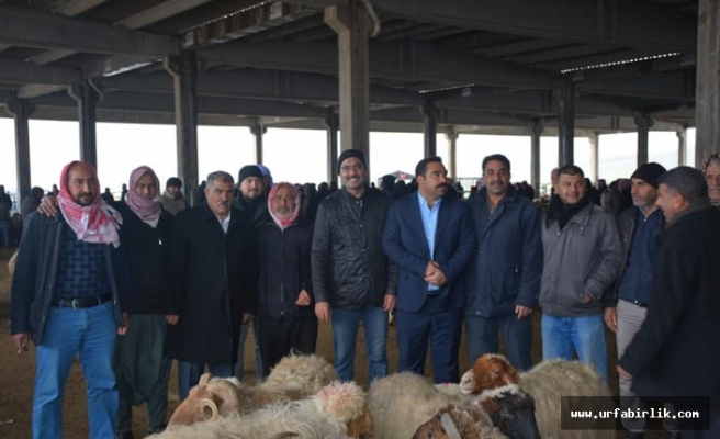 Mehmet Kuş'un Seçim Çalışmaları Alışılmadık Bir Tempoda!