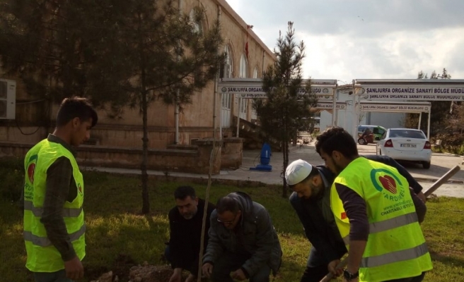 Bir Kurban Bir Fidan Projesi ile Cami Bahçeleri Güzelleşiyor