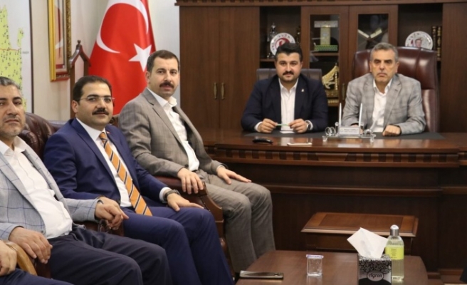 Belediye Başkanlarının Sivrisinek Zirvesi