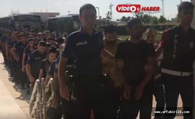 Urfa'da büyük operasyon: Tam 98 tutuklama!