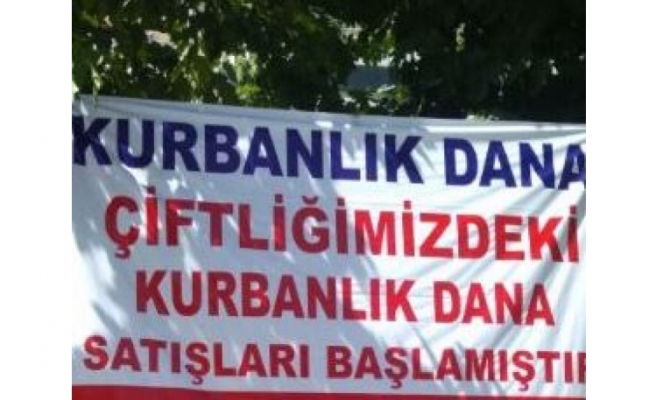 Urfa'da brandayı söken ekiplere işletmeciden tepki
