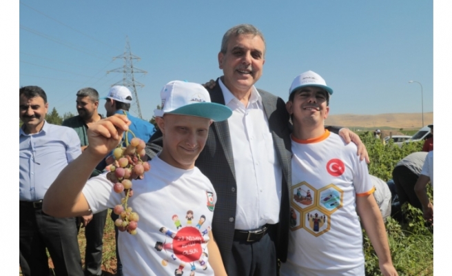 ‘Birlikte toplayıp ihtiyaç sahiplerine dağıtıyoruz’