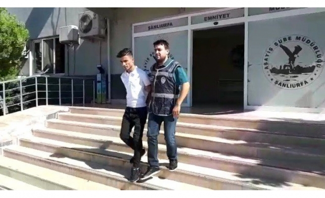 Urfa'da araç soyan şahıs yakalandı