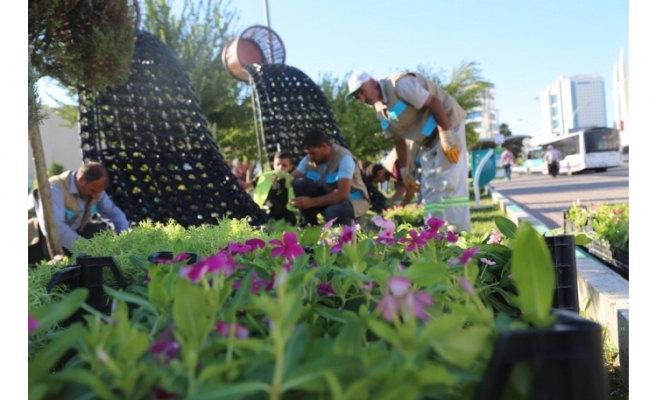 Haliliye’de peyzaj çalışmaları sürüyor