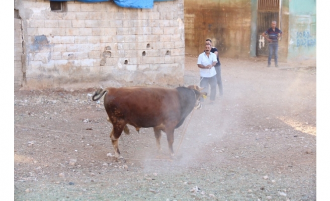 Urfa'da bayram manzarası değişmedi