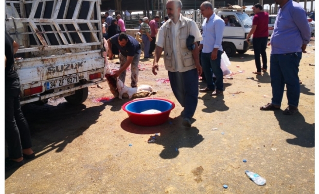 Urfa'daki kesim görüntüleri Afrika'yı andırdı