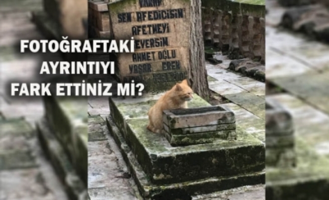 Eski Urfalıların yaptığına hayran kalacaksınız!