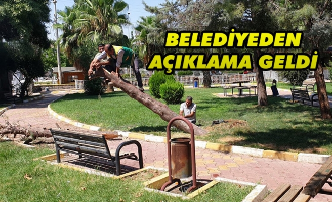 Karaköprü'de ağaç kesilmesine tepki gösterildi