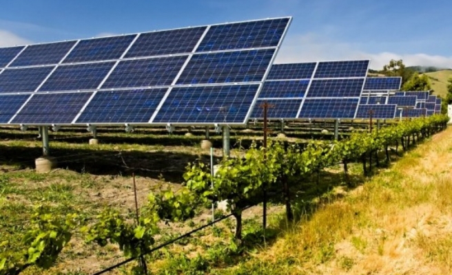 Ceylanpınar’da Hollanda’yı geride bırakacak proje