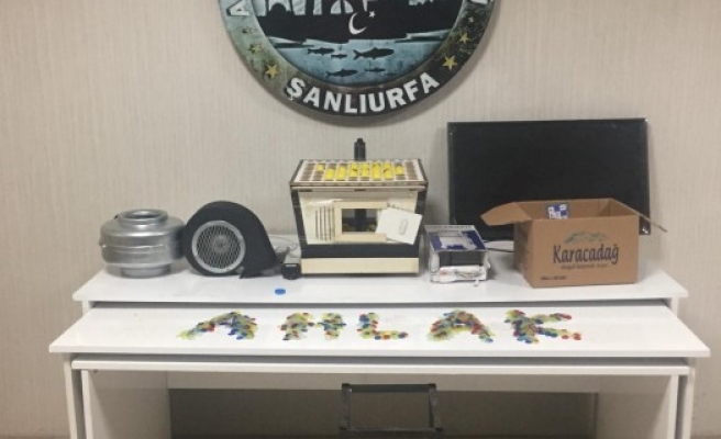 Urfa'da 'kumar' operasyonu