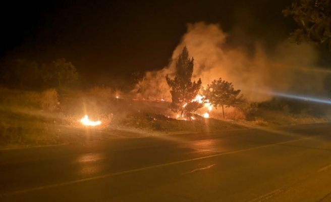Şanlıurfa'da anız yangını korkuttu