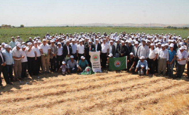 Urfalı çiftçiler için açıklama: Endişelendiriyor