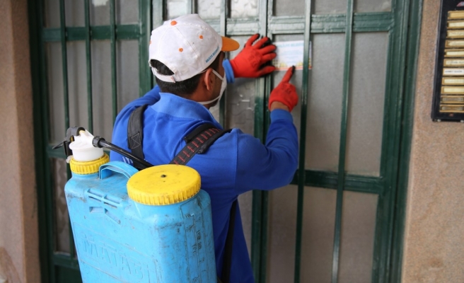 Haliliye'de haşere mücadelesi sürüyor