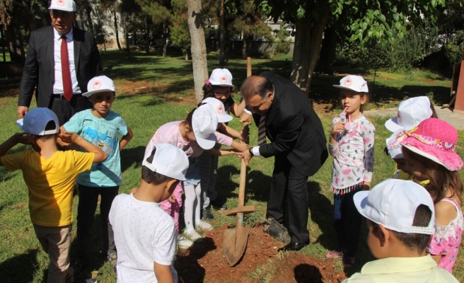 Yemyeşil Şanlıurfa için minikler ilk fidanlarını dikti