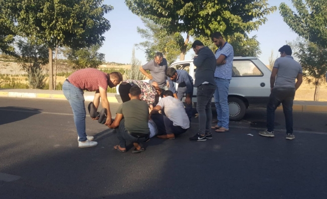 Şanlıurfa'da trafik kazası: 1 yaralı