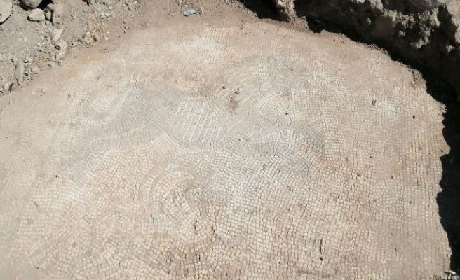 Urfa'da kaçakçılık operasyonu: 2 bin yıllık mozaikler ele geçirildi