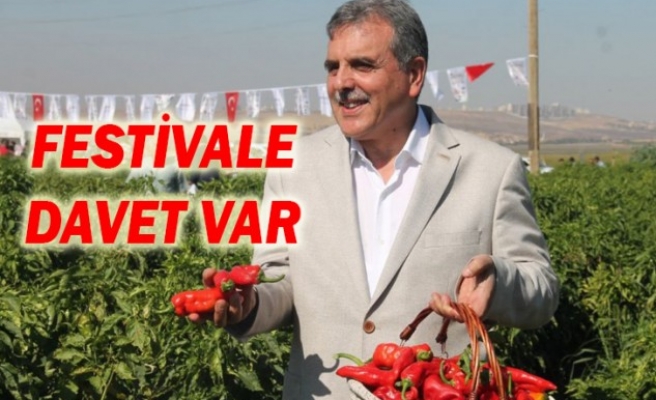 Şanlıurfa’da festival devam ediyor! İşte etkinlik takvimi