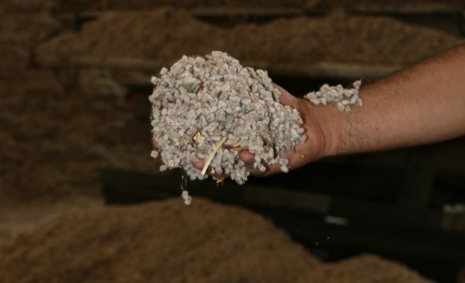 OSB’deki 'linter' dünyada ilk üçe girdi