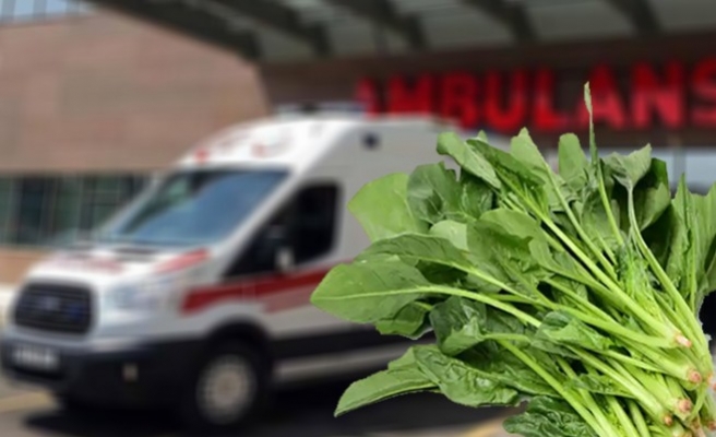 Ispanak zehirlenmelerine karşı alınacak önlemler