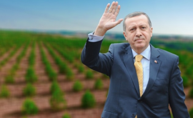 11 Kasım 'Milli Ağaçlandırma Günü' ilan edildi