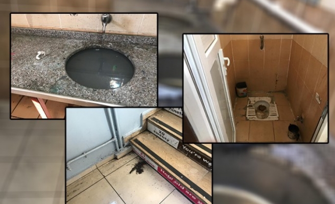Şanlıurfa'daki okulun tuvaletleri tepki topladı