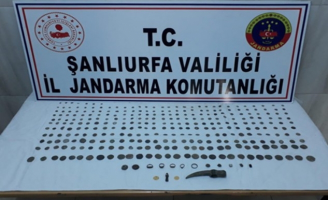 Şanlıurfa'da tarihi eser operasyonu