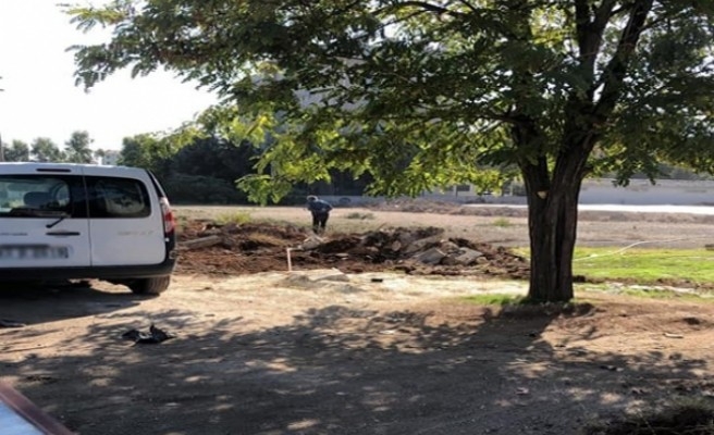 ‘Ağaç katliamı’ dediler, başkandan ‘imarlı arsa’ yanıtı