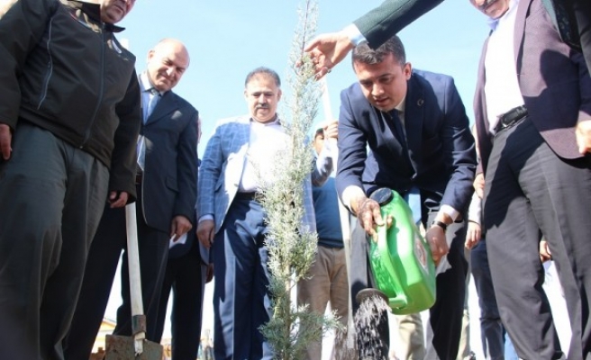 Ceylanpınar’da fidanlar toprakla buluştu