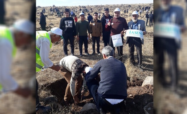 Fidan dikimine Hasene Derneği de katıldı