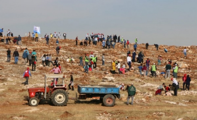 Fidan dikimine OSB'den destek