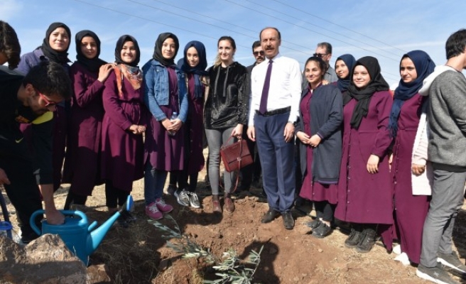 Şanlıurfa’da 300 bin fidan ‘nefes’ için dikildi