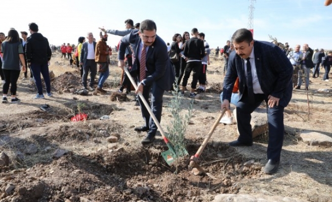 Haliliye’den 'Milli Ağaçlandırma Günü'ne destek