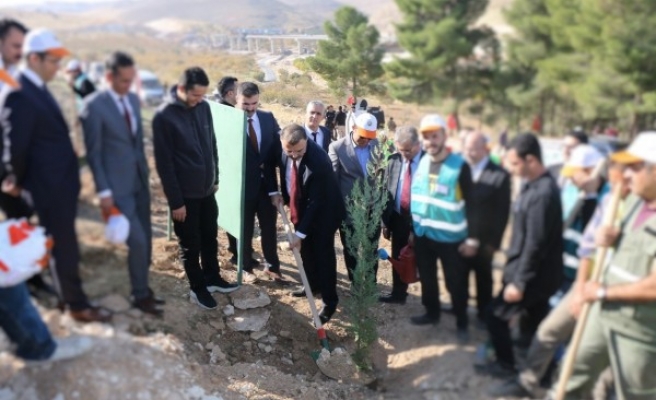 Şanlıurfa’da yükümlüler de fidan dikti
