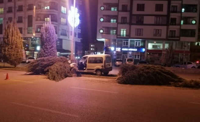 Karaköprü’de kaza! Ağaçları devirdi...
