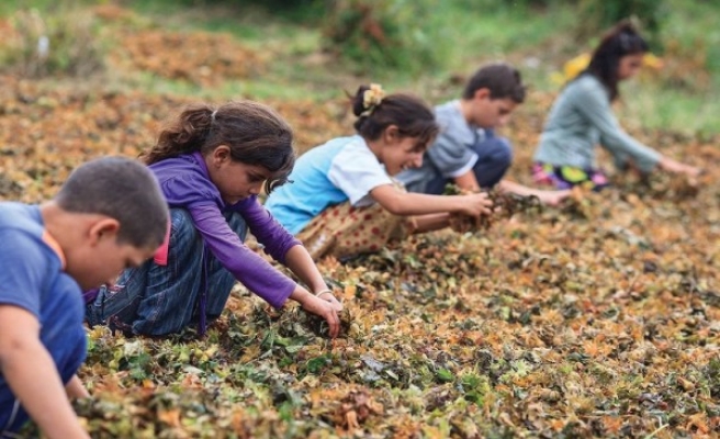 Palandöken: Çocuklar işçi değil, öğrenci olmalı