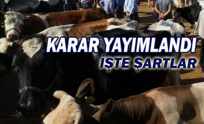 Şanlıurfa'da besicilere destek müjdesi!