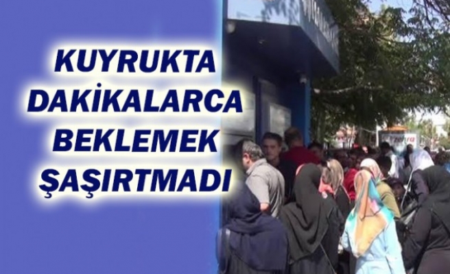 Şanlıurfa'daki mağduriyet rakamlarla gün yüzüne çıktı