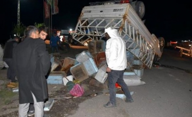 Urfa'da arı kovanı yüklü kamyonet ile TIR çarpıştı
