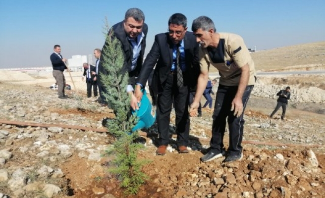 'Diş Hekimliği' haftasını fidan dikerek kutladılar