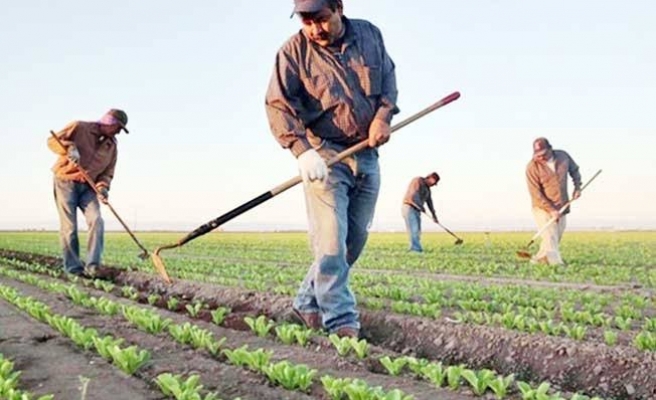 Elektrik borçlarını Bakanlık mı ödeyecek?