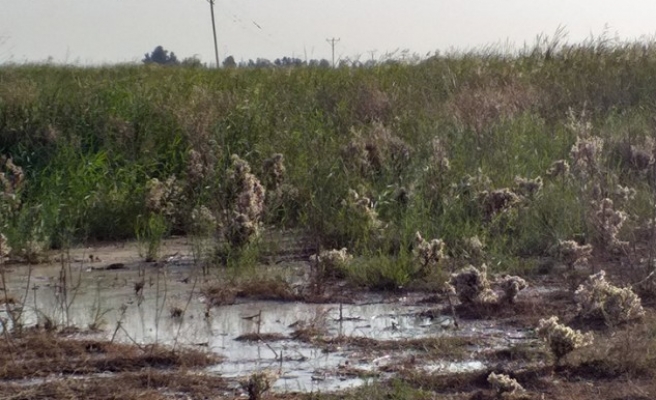 Suruçlu çiftçiler sulama için tepkili
