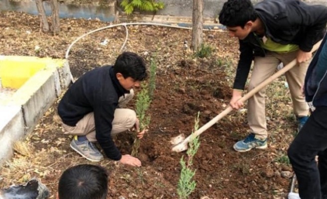Şanlıurfa'da öğrenciler fidan dikti