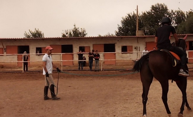 Veriler açıklandı! En çok Şanlıurfa’da bulunuyor