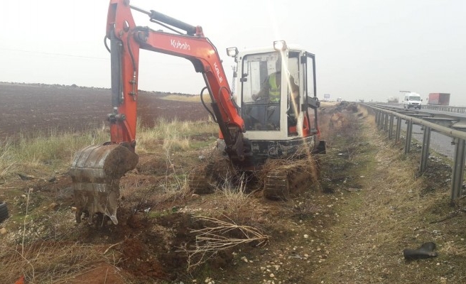 Şanlıurfa’da fidan dikimi devam ediyor