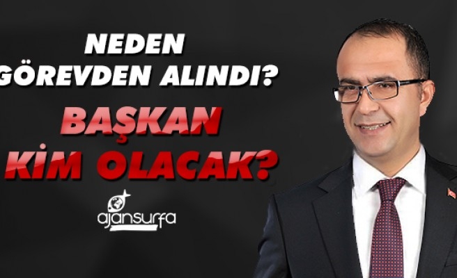 Ceylanpınar Belediye Başkanı ile ilgili karar verildi (EK HABER)