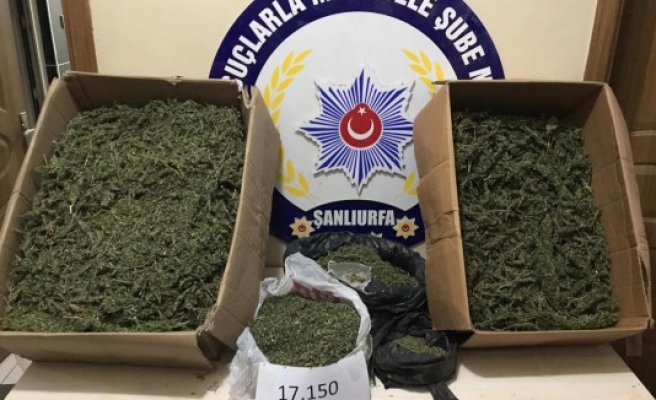 Urfa'da uyuşturucu operasyonu: 1 tutuklama