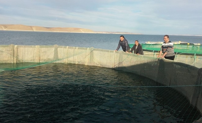 Harran Üniversitesi’nden üreticilere teknik destek