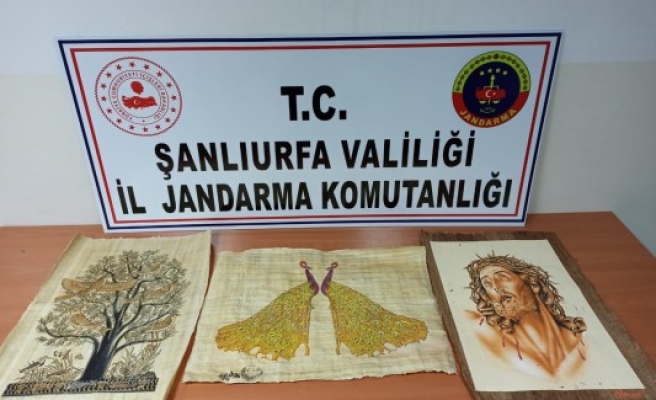 Urfa'da kaçakçılık operasyonu: 3 gözaltı